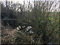 Footbridge in the trees over Barnett Brook