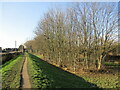 Footpath along a flood bank, Long Eaton