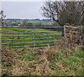 Metal field gate, Onen, Monmouthshire