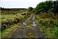 Rough lane, Glengawna