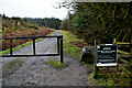 Forest entrance road, Glengawna