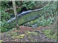 Rapids on the Lower Glen River