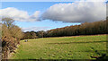 Pasture near Woundale in Shropshire