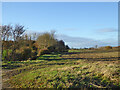 Fields along stream valley