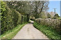 Sussex Border Path