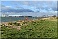 On the shore at Weston, looking towards Southampton Docks