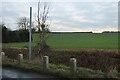 Field by Shillington Road, Pirton