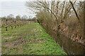 Footpath by drainage ditch