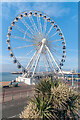 TQ3103 : The Brighton Wheel by Ian Capper