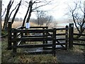 NS5677 : Kissing gate, Loch Ardinning by Richard Sutcliffe