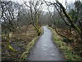 Path to the car park