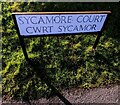 Bilingual name sign, Sycamore Court, Henllys, Cwmbran