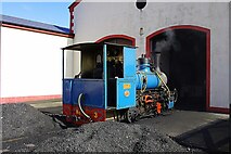 C9443 : "Shane" outside Engine Shed, Giant's Causeway Station, Giant's Causeway & Bushmills Railway by P L Chadwick