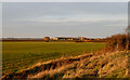 Arable field off Lower Road, Hullbridge