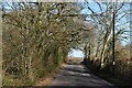 Lane beside Haythorn Copse