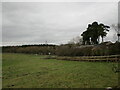 Grass field off Squires Lane