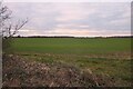 Field north of Great Barford