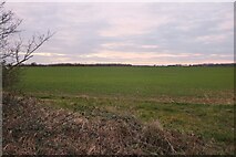 TL1153 : Field north of Great Barford by David Howard