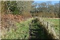 Path on the edge of Horton Wood