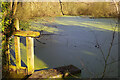 Pond below Broome Mill