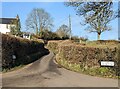 Hedge-lined lane, Tal-y-Coed, Monmouthshire