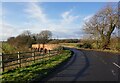 Bridge over the River Tame south of Elford