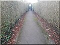 Path from Falloden Way to Hutchings Walk, Hampstead Garden Suburb 