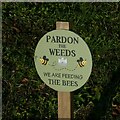 Pardon the weeds