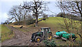 Oak and tractor