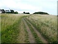 A walk from St Margaret?s at Cliffe to Kingsdown and return [16]