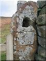 Old carving on a gatepost