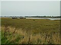 Shipwrecks beside the Wyre