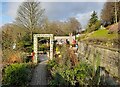 NZ2642 : Community Garden Wharton Park by Colin Kinnear