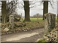 Gateposts on the lane to Plas Issa