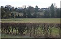 Fields by Asheridge Road, Chesham