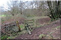 Llwybr Cnwcdeilog / Cnwcdeilog path