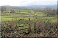 Llwybr Cnwcdeilog / Cnwcdeilog path