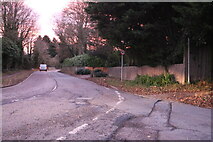 TL0852 : Wilden Road, Salph End by David Howard