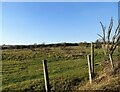 Wire fence beside the path