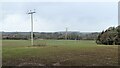 SO4675 : Telegraph poles by Stead Vallets Farm (Bromfield) by Fabian Musto