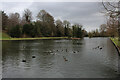 ST8744 : The Boating Lake, Warminster by Chris Heaton