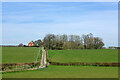 Track to New Barn Farm