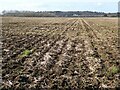 Arable farmland beside the River Avon