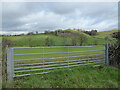 Gate with a view across the valley near Llandyssil