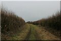 Restricted Byway heading for Rye Hill Farm