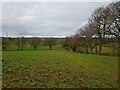 SP0560 : Fields off footpath, near Hanging Well, Warwickshire  by Jeff Gogarty