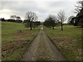 Track Through Jervaulx Park