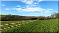 Path through field at Shaw-Wood Farm, South Wingfield