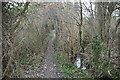 Footpath by stream