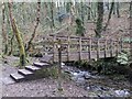 Footpath and bridge between St Nectan